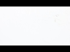 NEMA 23 Pfannkuchen-Schrittmotor Ultra - Dünn - Hoch - Drehmomentleistung