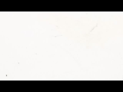 NEMA 17 Gefangener Linear-Stepper-Motor-Encoder - für eine unübertroffene Linearsteuerung ausgestattet